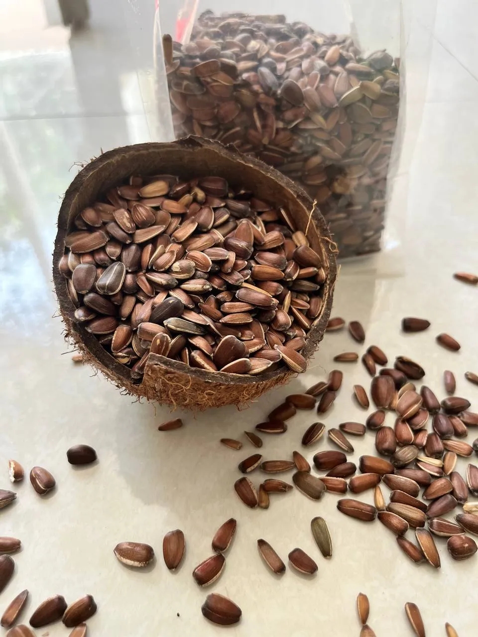 تخمه آفتابگردان