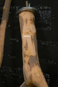 چوب نشیمن دو شاخه